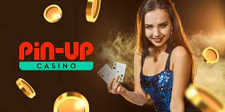 Оценка Pinco Gambling Enterprise и букмекерской конторы